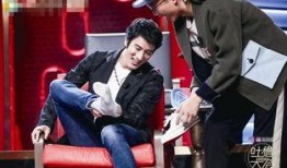 圈内爆料王力宏,揭秘不为人知的幕后故事